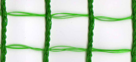 No.6:20mm×25mm(強力)