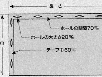 （E）ボタンホールテープ付け